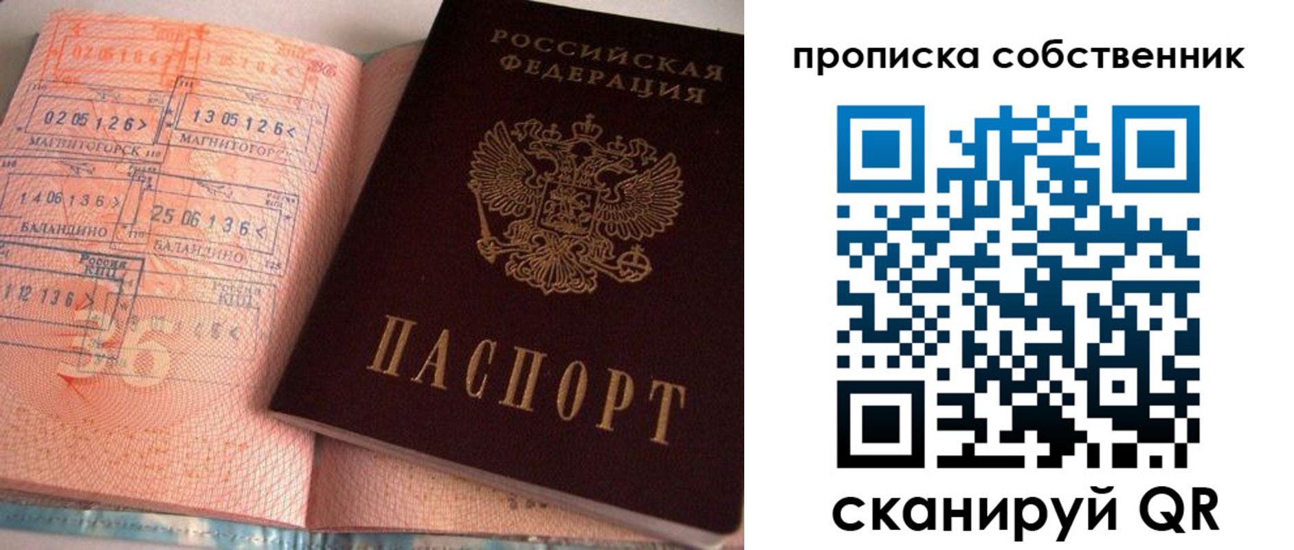 прописка в Черняховске